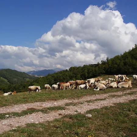 Сasa de vacaciones Agriturismo Il Palazzo Tre Costacciaro